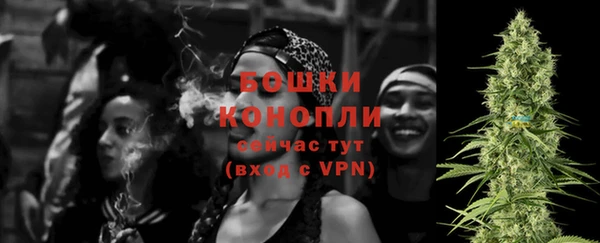 стафф Аркадак