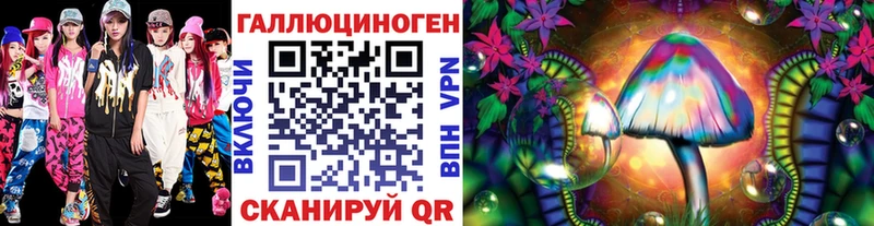 Купить где  Острогожск  Галлюциногенные грибы Psilocybine cubensis 