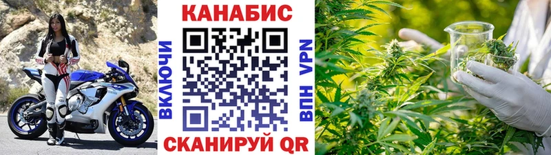 Конопля OG Kush Острогожск